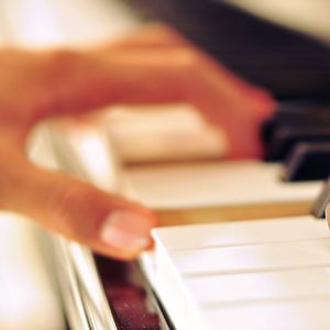 张柏芝殖器图12
