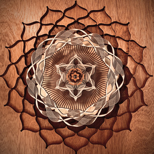 张柏芝殖器图12
