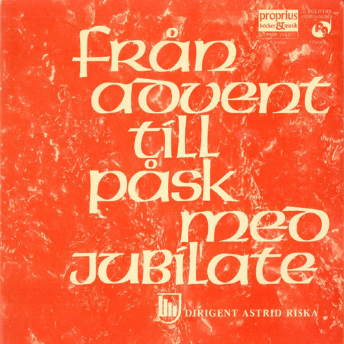 张柏芝殖器图12
